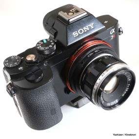 Olympus Pen-F lens for Sony A7 camera.